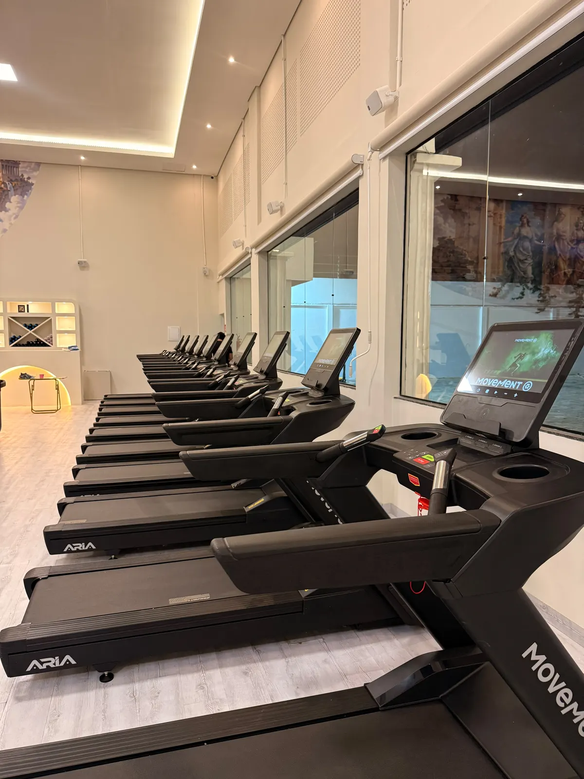 Área de cardio — esteiras